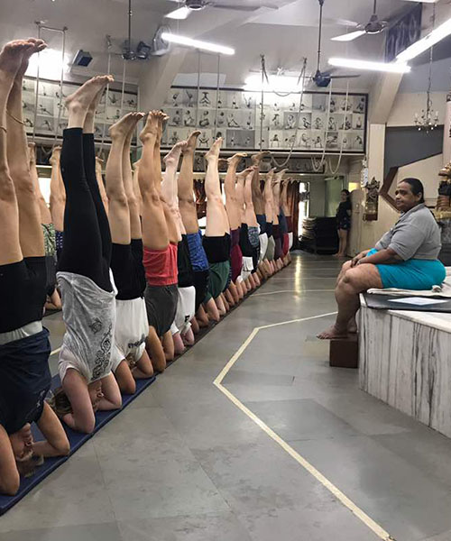 Asociación Argentina de Yoga Iyengar
